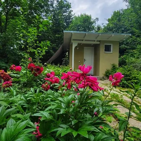 The Bungalow Braşov Esterno foto